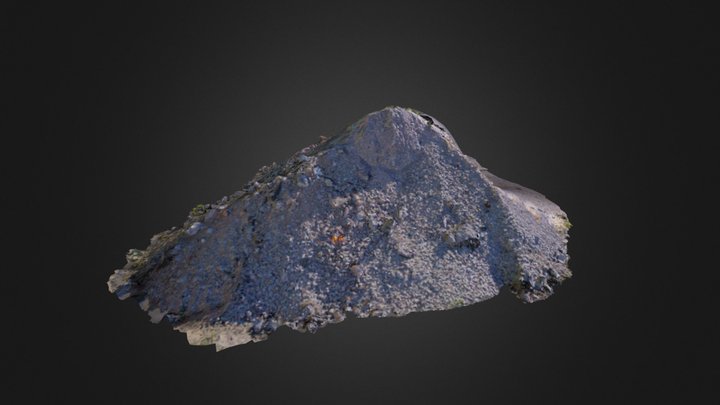 Mound of Earth 3D Model