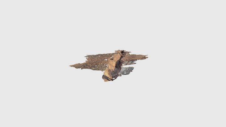 Offset tracks 3D Model