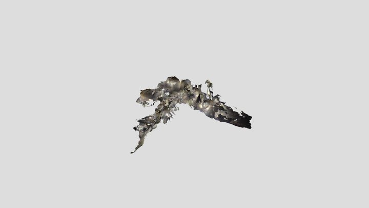 westernhope 3D Model