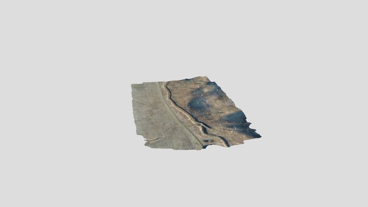 3d Mesh Ivany 13112021 3D Model