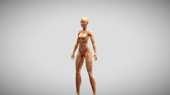 Mujer 3D Model