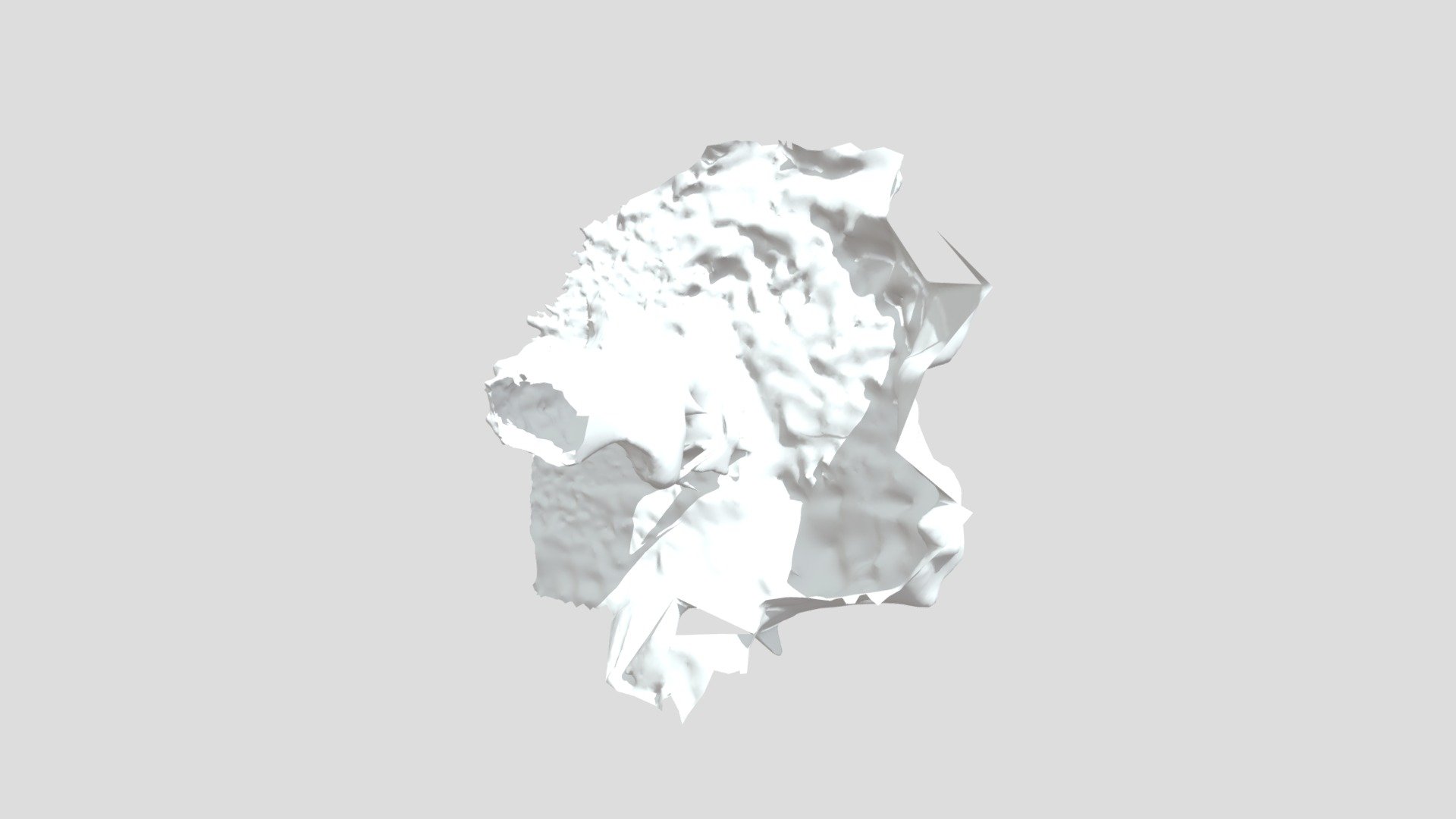Face Sculpture