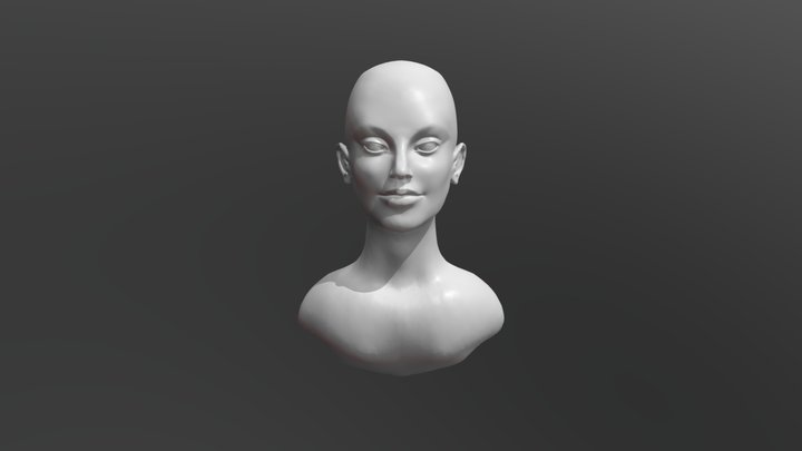 Head 3 3D Model