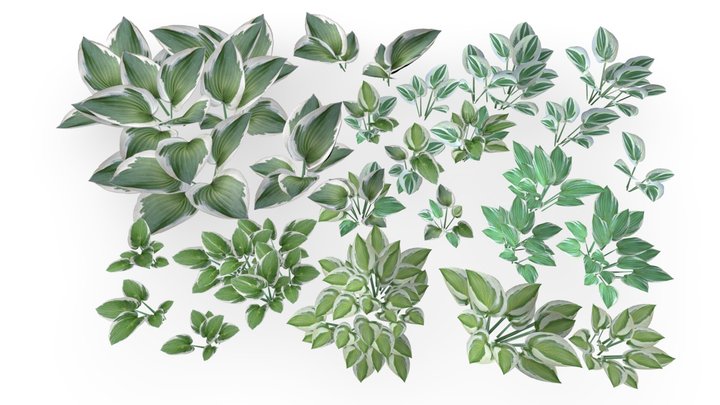 Small plants - indoor & outdoor - 281 Models 3D Model