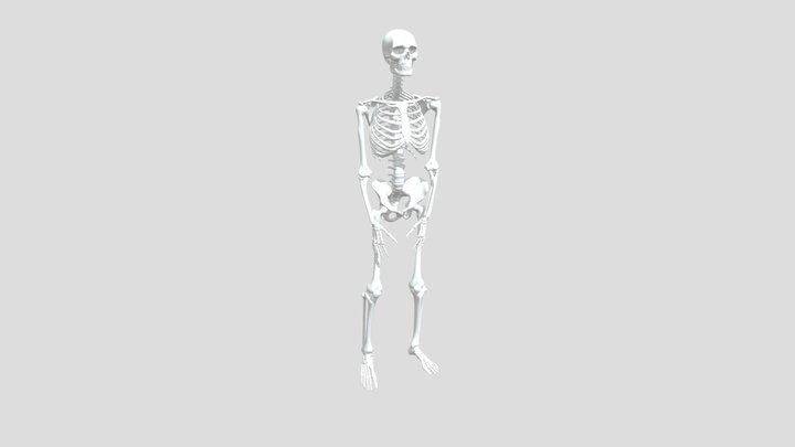 motioncapture_TESTI2 3D Model