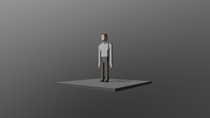 Base Voxel Male 3D Model