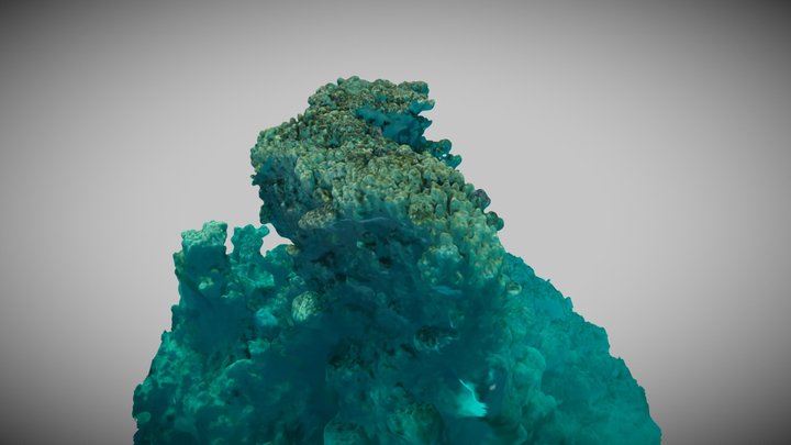 Big Coral Block Islands 3D Model