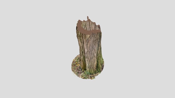 tree 3D Model