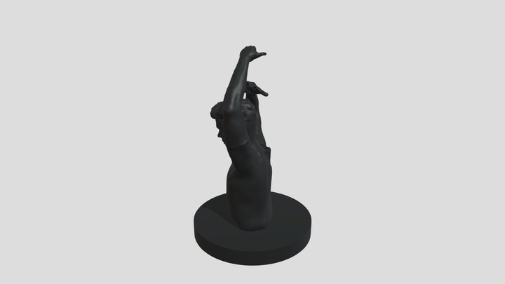Saeed Piramoon/ hair scissoring gesture 3D Model