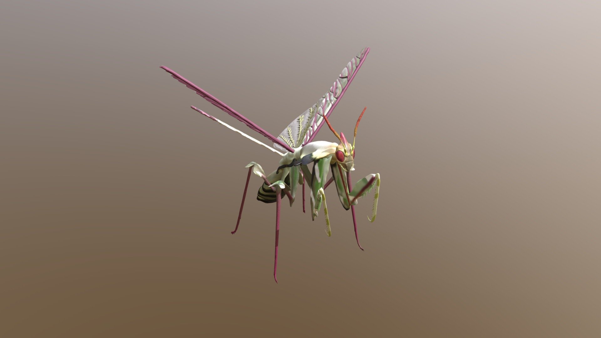 Mantis2 - 3D model by zanexax [2c98982] - Sketchfab