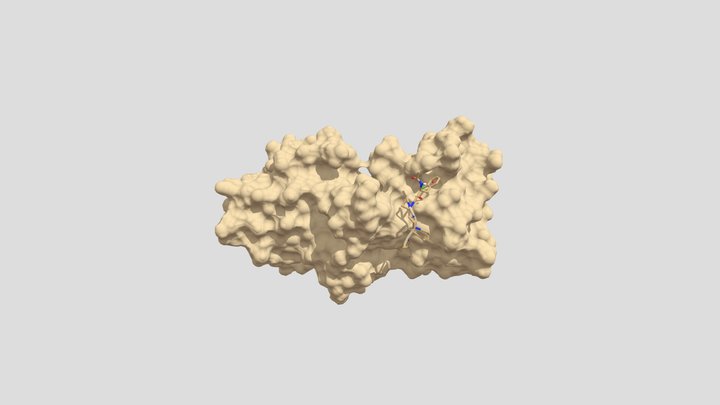 Sam 3D Model
