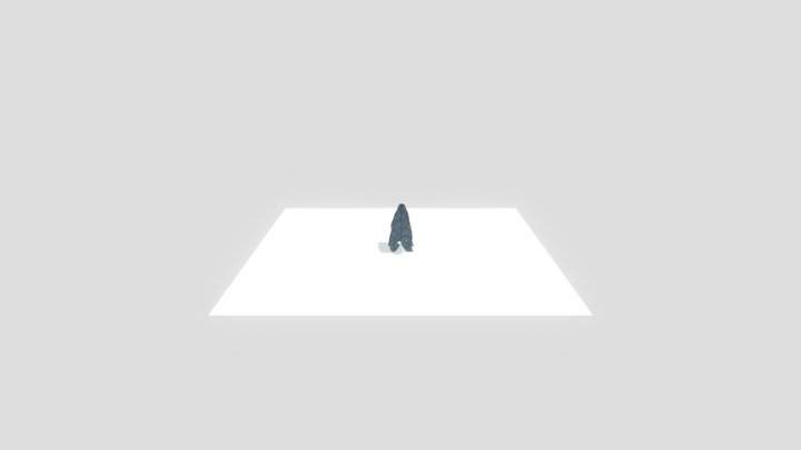 Clothsim 3D Model