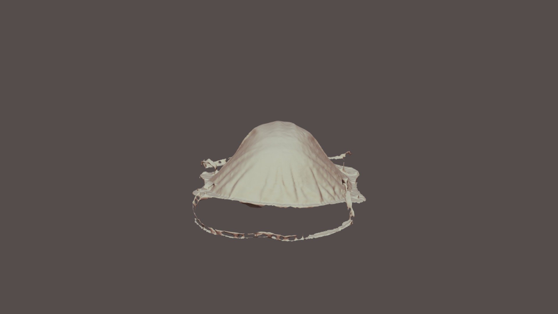 N95 Mask