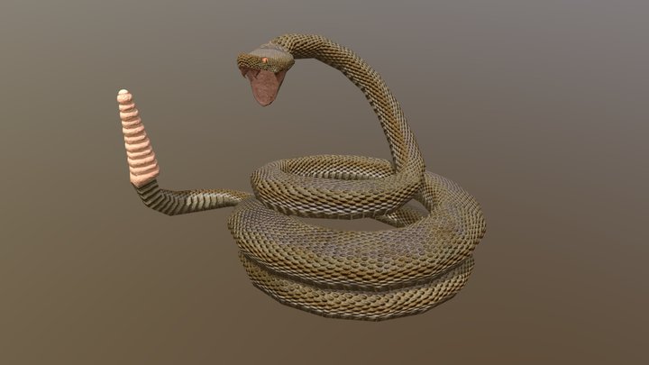 Snake 3D Model