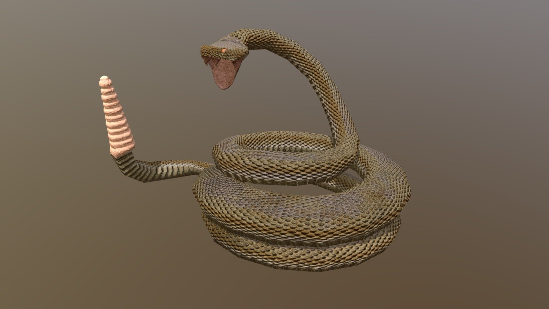 Snakes 3D models - Sketchfab