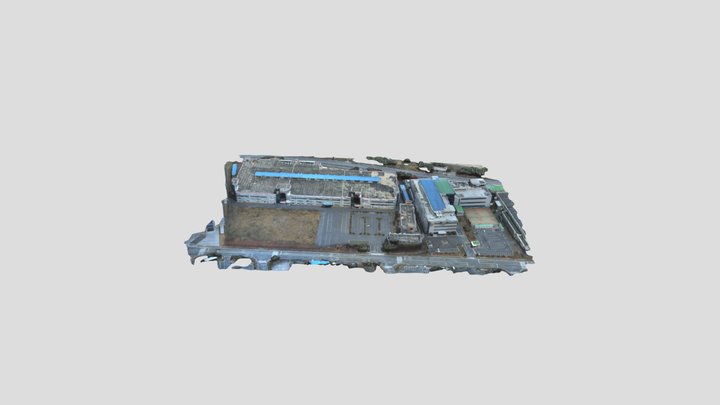 project_simplified_3d_mesh 3D Model