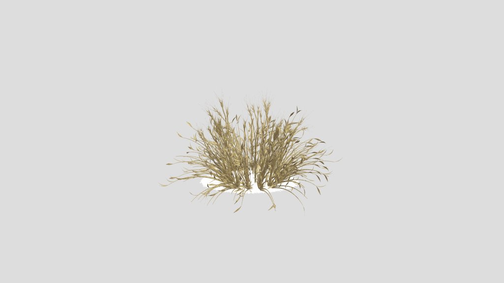 SJ_Boho_Bush_Ornament_dried_21829639-78ed-4d2c-9