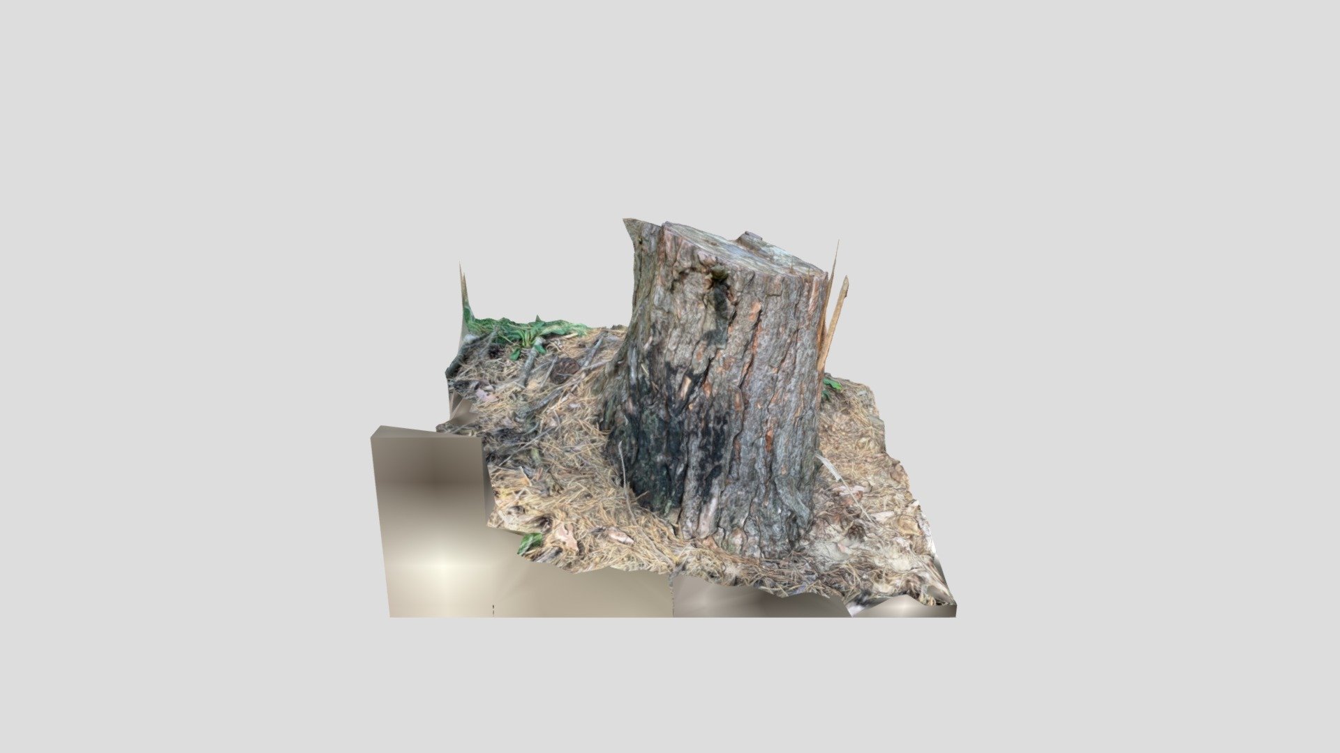 Trunk Trees pine - Download Free 3D model by daroup75 [2ca4aca] - Sketchfab