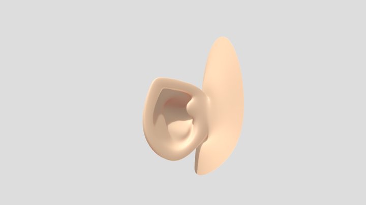 Cartoon Ear - Blender - Low Poly 3D Model