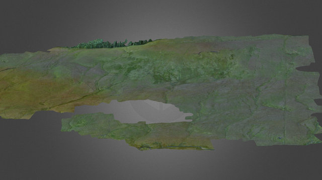 Nethergill Farm 3D Model