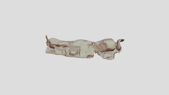 Untitled Scan 3D Model