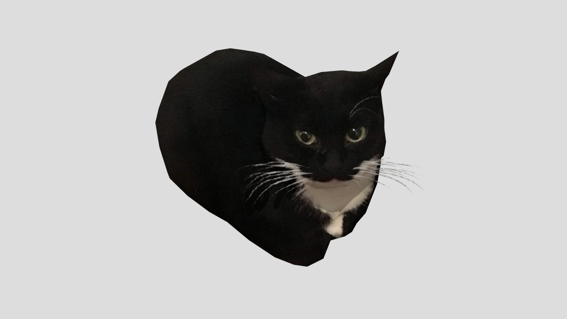 Angry cat meme 3D model 3D printable