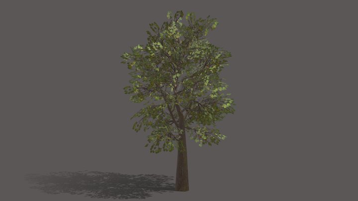 Game ready tree 3D Model