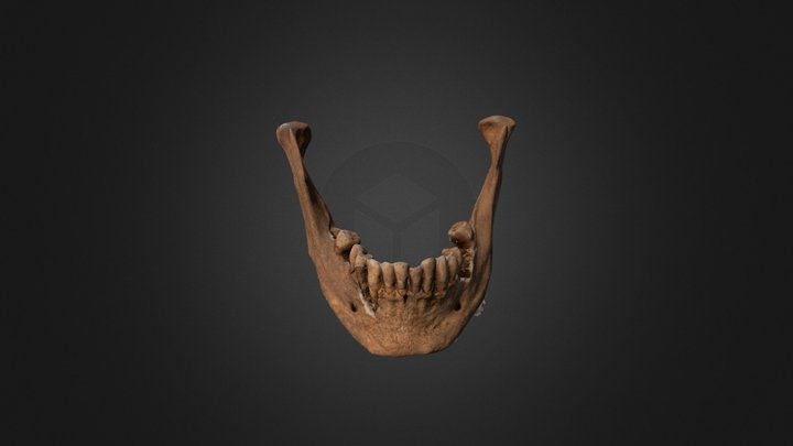 Mandible "Ponferrada dos" 3D Model