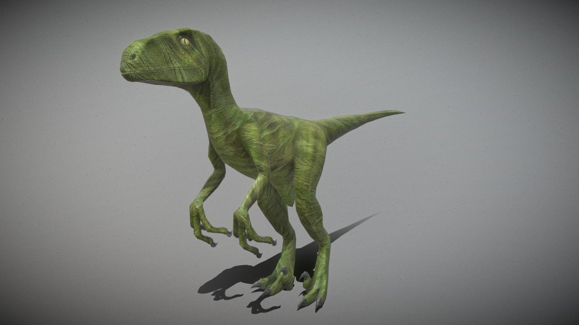 Utahraptor Download Free 3D model by Indominus Rex (lentoneulb