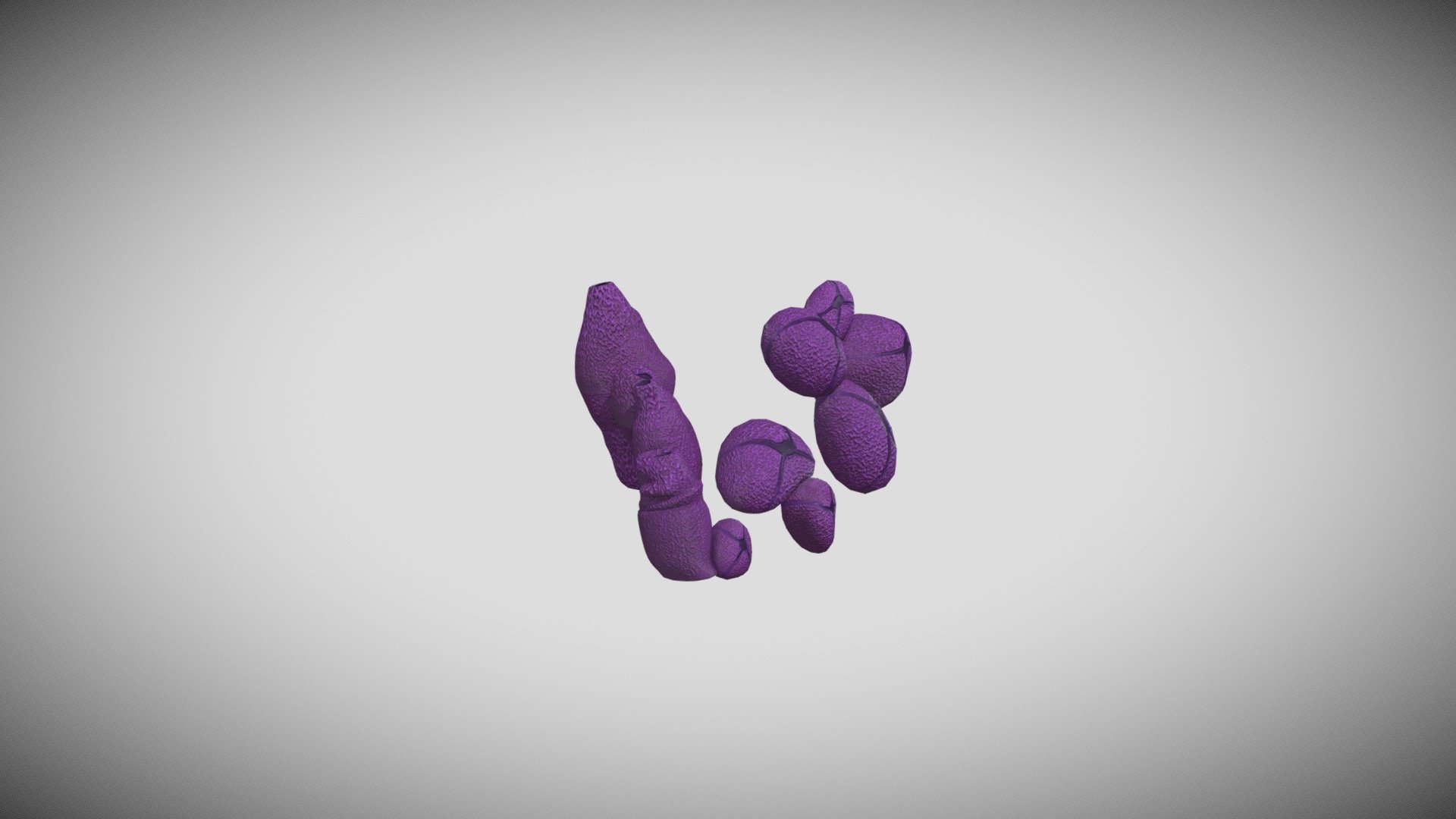 Coral plumps