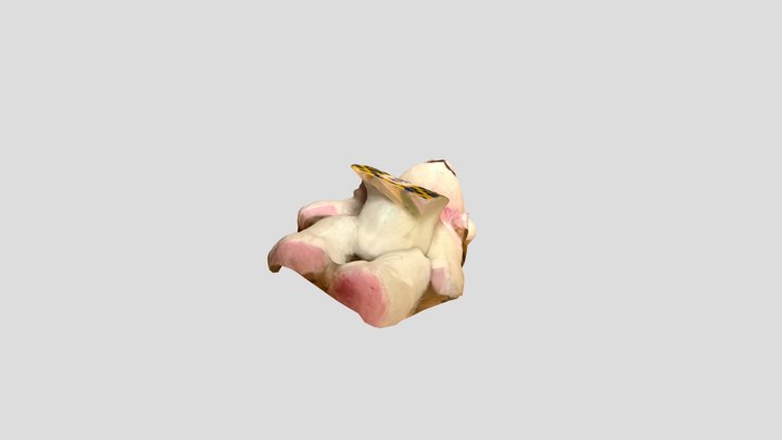 Teddy Bear 3D Model