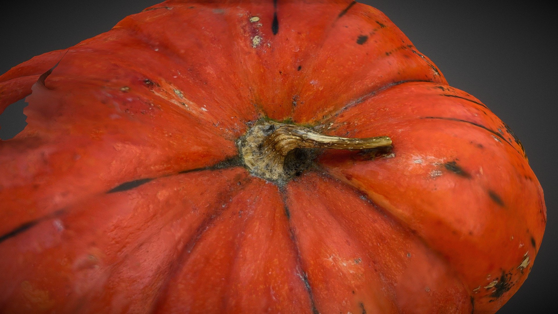 Red (Cinderella) Pumpkin