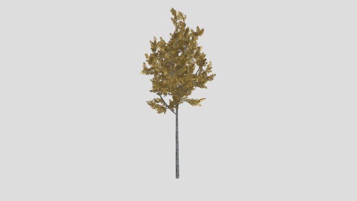 low poly tree 3D Model