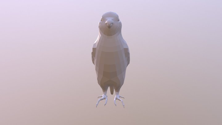 Birdy (full low mesh without texture) 3D Model