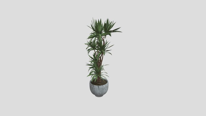 Plant – Modello 3D gratuito STL