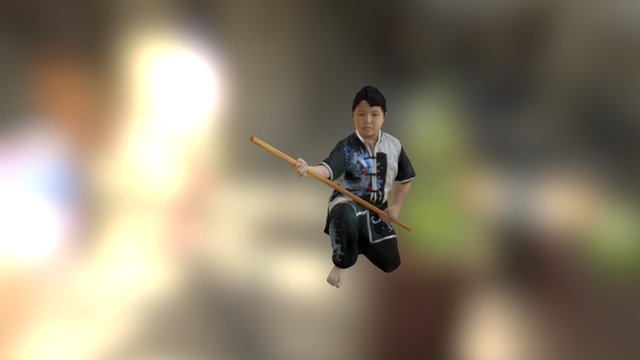Vance Wushu 3D Model