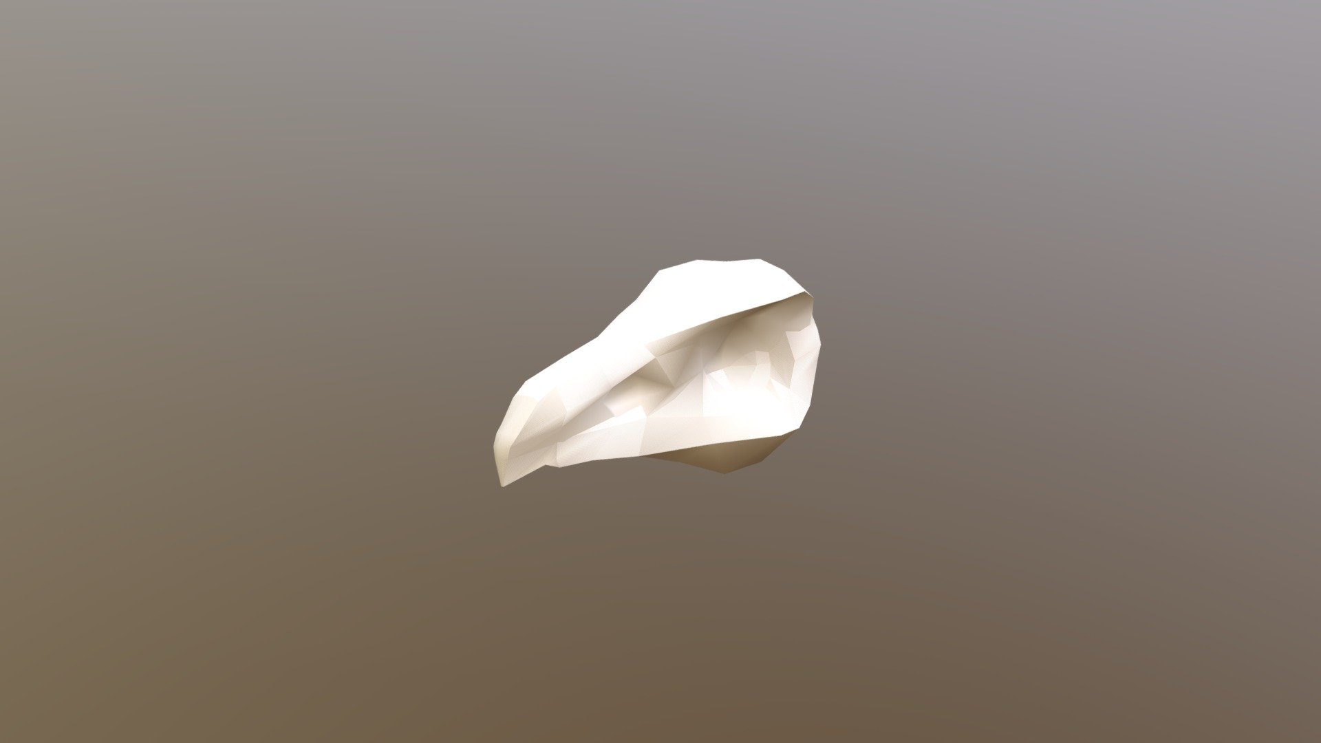 Bird Skull