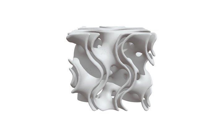 Two Solid Offset Gyroid Surfaces 3D Model