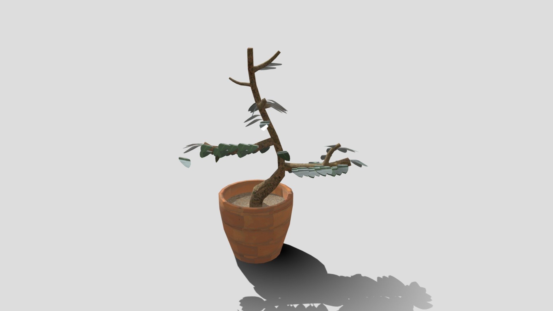 Plant