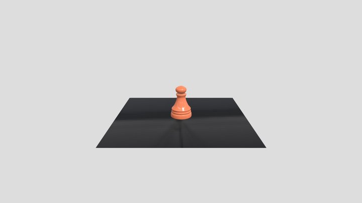 Newp 3D Model