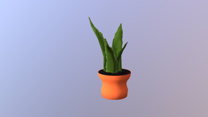 aloe 3D Model