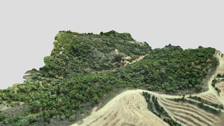 Alentejo_land_Low_poly_mesh 3D Model
