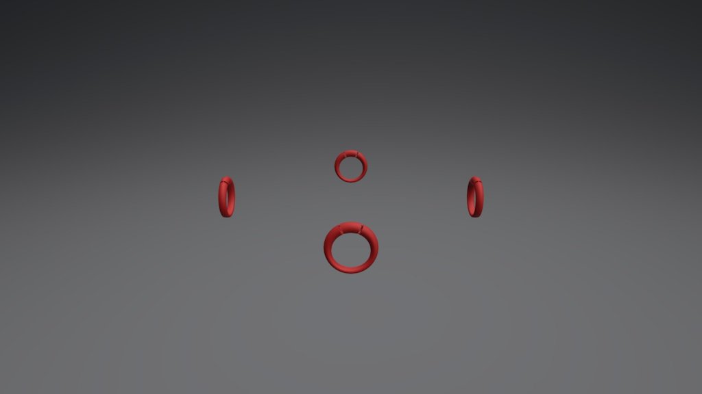 Assieme Anelli Vr