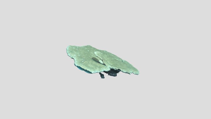 2014modelexport 3D Model