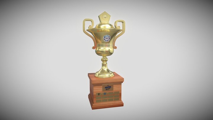 Copa Superliga Test - UNIDIGITAL 3D Model