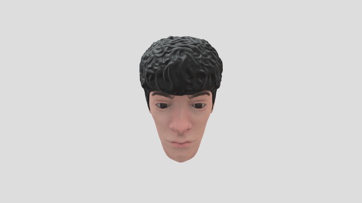 face sculpt 3D Model