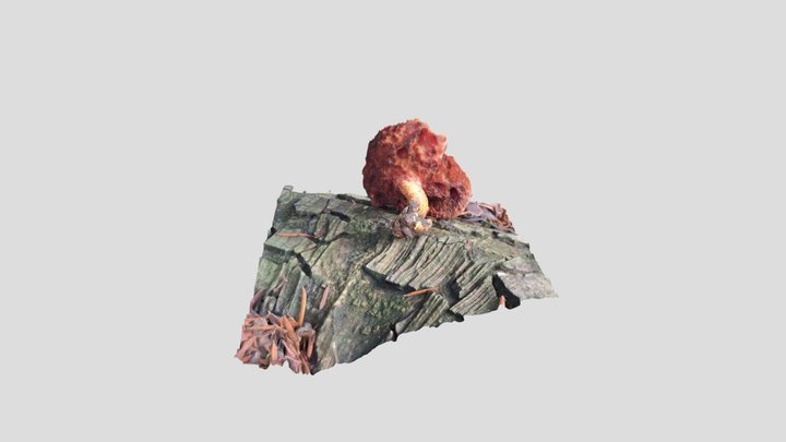 Peppery Bolette – Modello 3D gratuito STL