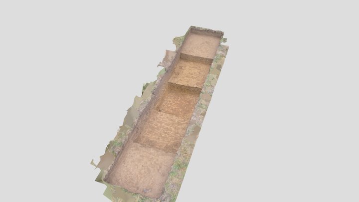 ALBP26- Trench 6