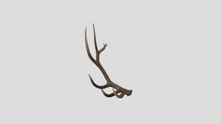 Arizona Elk Shed 3D Model