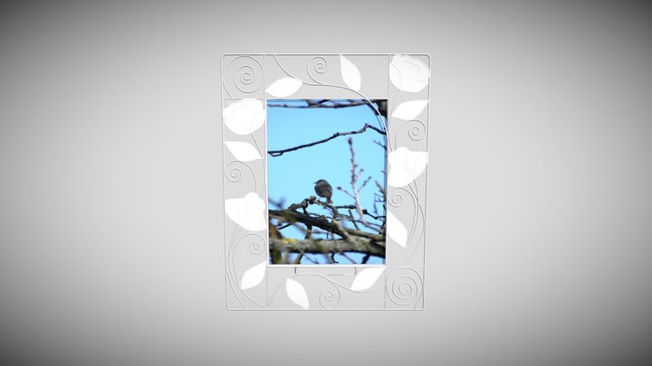 Cornice, Photographic frame 3D Model